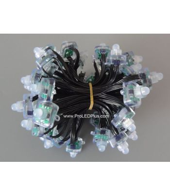 12mm DC12V WS2811 Diffused FLat Digital RGB LED Pixels, 100/strand, 20AWG Black Wire, IP68