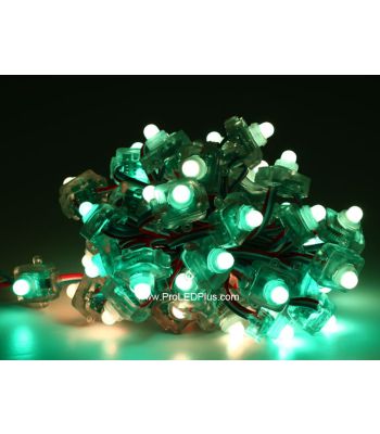 12mm DC5V WS2811 Diffused Flat Digital RGB LED Pixels, 50/strand, IP68