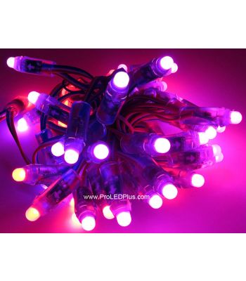 12mm DC5V WS2811 Diffused Thin Digital RGB LED Pixels, 50/strand,  IP68
